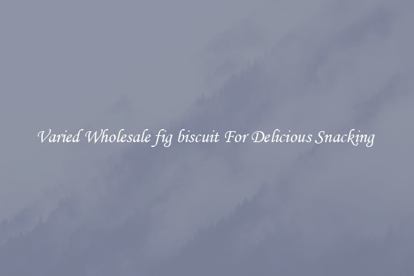 Varied Wholesale fig biscuit For Delicious Snacking 