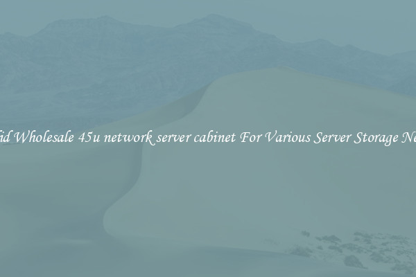 Solid Wholesale 45u network server cabinet For Various Server Storage Needs
