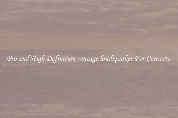 Pro and High Definition vintage loudspeaker For Concerts 