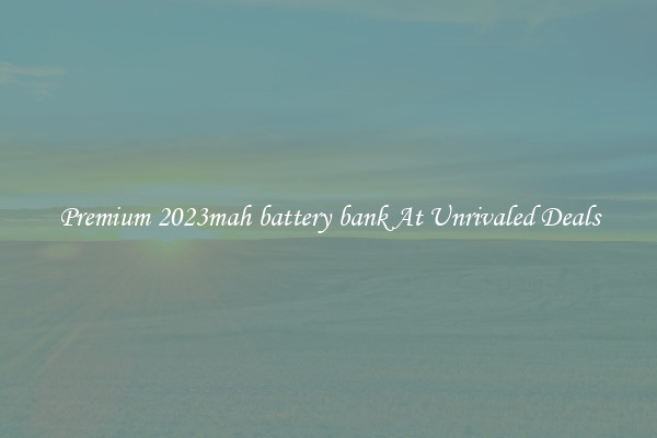 Premium 2023mah battery bank At Unrivaled Deals