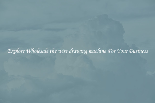  Explore Wholesale the wire drawing machine For Your Business 