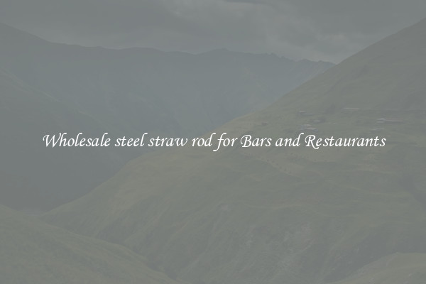 Wholesale steel straw rod for Bars and Restaurants