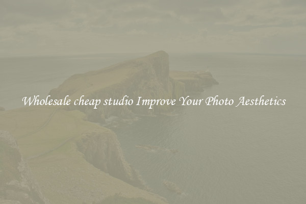 Wholesale cheap studio Improve Your Photo Aesthetics