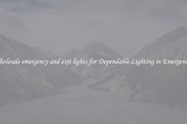 Wholesale emergency and exit lights for Dependable Lighting in Emergencies