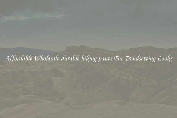 Affordable Wholesale durable hiking pants For Trendsetting Looks