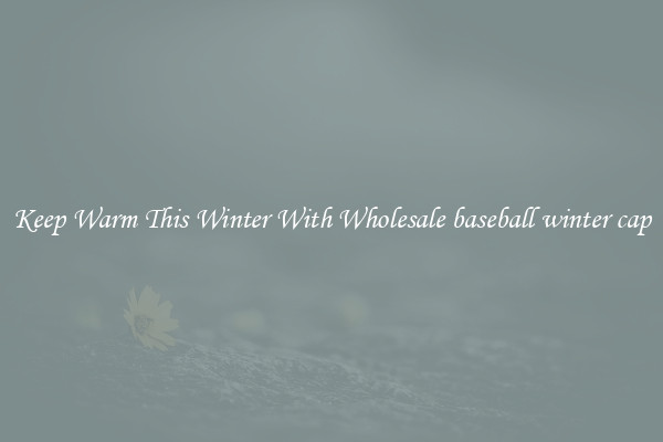 Keep Warm This Winter With Wholesale baseball winter cap
