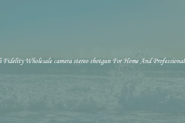 High Fidelity Wholesale camera stereo shotgun For Home And Professional Use