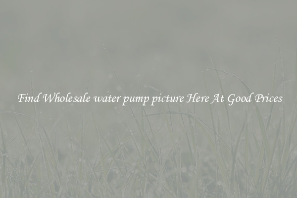 Find Wholesale water pump picture Here At Good Prices