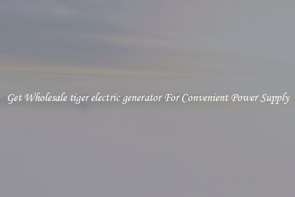 Get Wholesale tiger electric generator For Convenient Power Supply