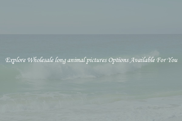 Explore Wholesale long animal pictures Options Available For You