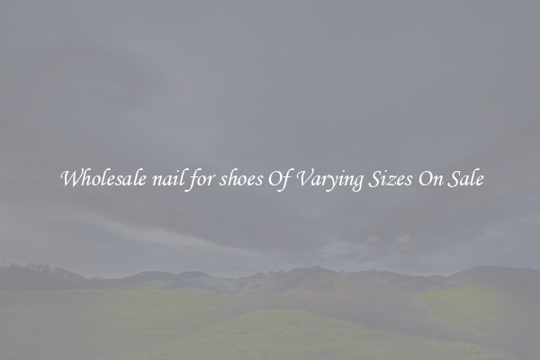 Wholesale nail for shoes Of Varying Sizes On Sale