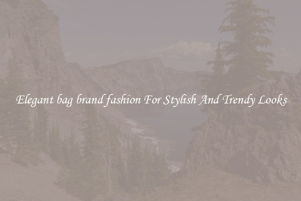 Elegant bag brand fashion For Stylish And Trendy Looks