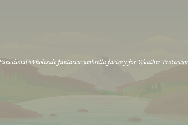 Functional Wholesale fantastic umbrella factory for Weather Protection 