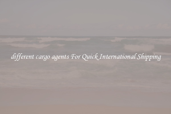 different cargo agents For Quick International Shipping