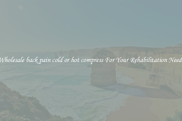 Wholesale back pain cold or hot compress For Your Rehabilitation Needs