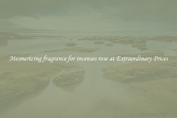 Mesmerizing fragrance for incenses rose at Extraordinary Prices