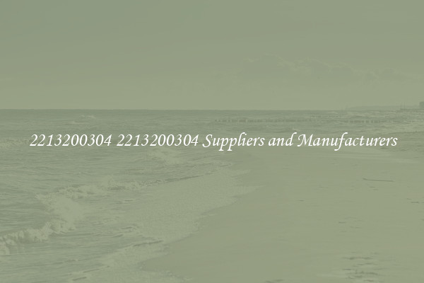 2213200304 2213200304 Suppliers and Manufacturers