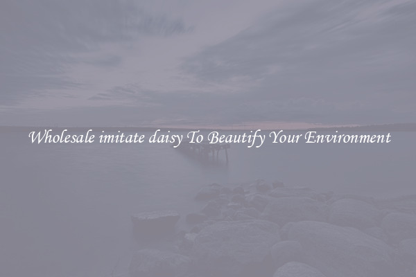 Wholesale imitate daisy To Beautify Your Environment