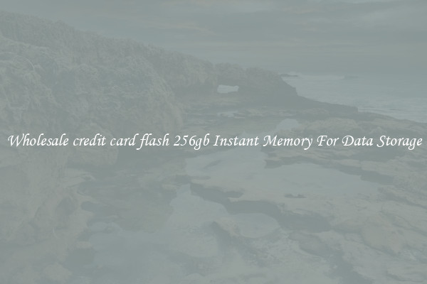 Wholesale credit card flash 256gb Instant Memory For Data Storage