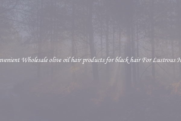 Convenient Wholesale olive oil hair products for black hair For Lustrous Hair.