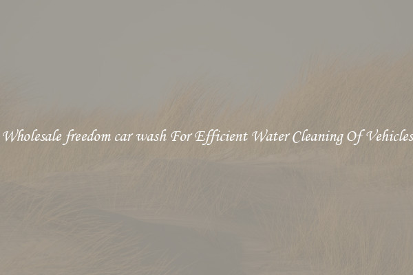 Wholesale freedom car wash For Efficient Water Cleaning Of Vehicles