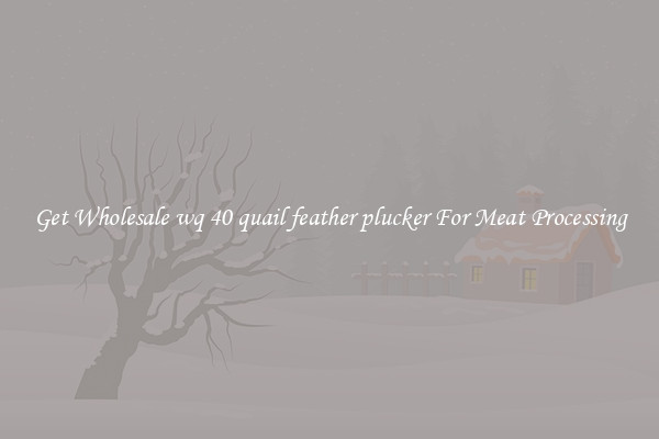 Get Wholesale wq 40 quail feather plucker For Meat Processing